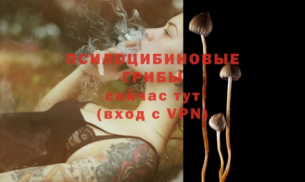 ешки Волоколамск
