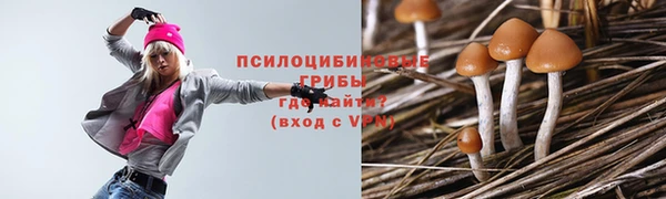 ешки Волоколамск