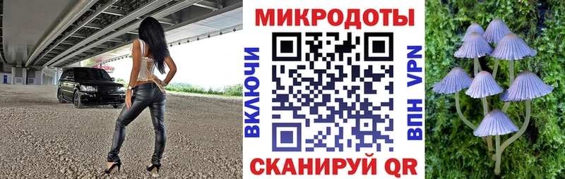 Псилоцибиновые грибы прущие грибы  закладки  Фёдоровский 